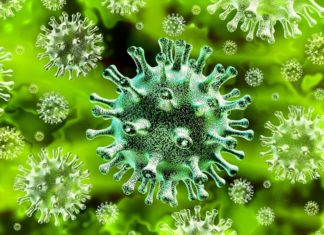 După tulpina britanică și africană, coronavirusul are și o tulpină românească ce reduce eficiența vaccinurilor anti-covid