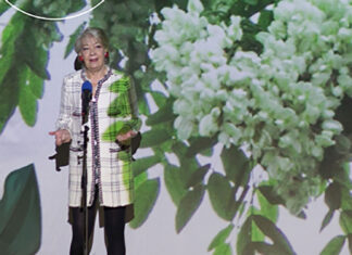 „Jurnal de România.Timişoara“, pe scena teatrului reşiţean