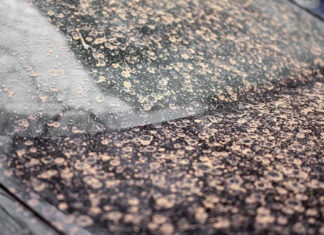 Particule de praf saharian vor traversa România în perioada 14 – 18 aprilie