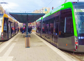 Bilet separat pentru animalele de companie în tramvaiele și autobuzele din Reșița