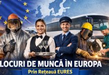 246 de locuri de muncă în Europa prin EURES: Suedia caută specialiști reșițeni în industria de laminare