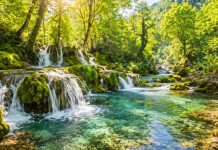 Fonduri europene pentru patrimoniul UNESCO din Vest: până la 4 milioane de euro pentru restaurare