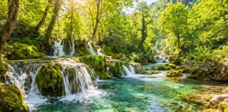 Fonduri europene pentru patrimoniul UNESCO din Vest: până la 4 milioane de euro pentru restaurare