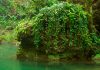 Cheile Carașului și Semenicul: spectacol natural în inima Banatului montan