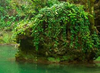 Cheile Carașului și Semenicul: spectacol natural în inima Banatului montan