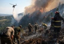 Bătălia cu incendiile continuă în Caraș-Severin. Zeci de salvatori sunt în teren